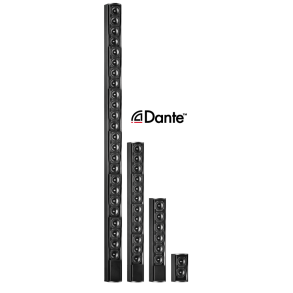 Active Audio Ray-On+ Dante-enabled, active version