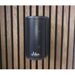 Ray-On Rmini Passive